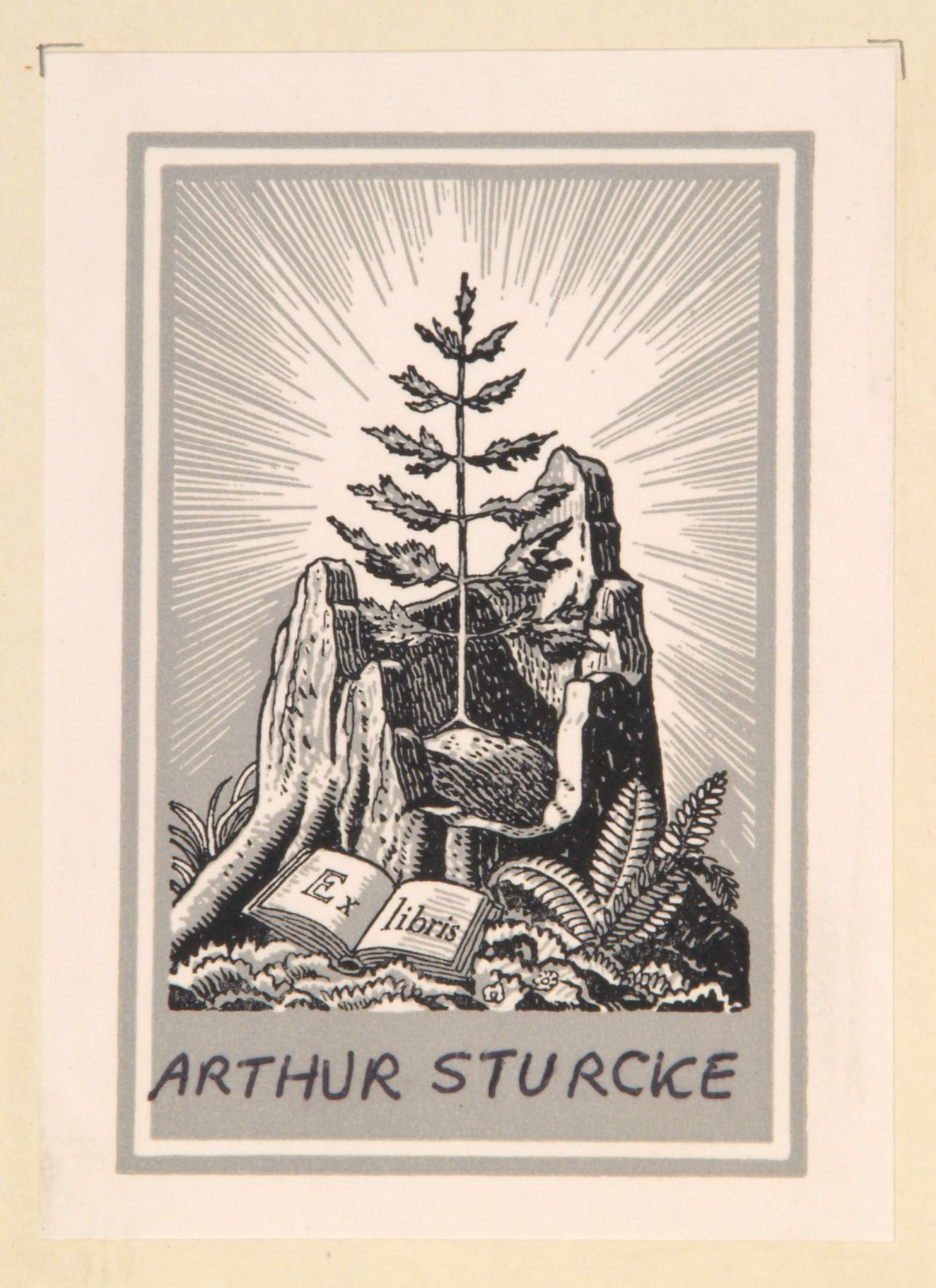 The Journal of Albion Moonlight PATCHEN